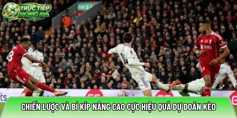 Chiến lược và bí kíp nâng cao cực hiệu quả dự đoán kèo