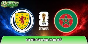 Soi kèo Scotland vs Ma Rốc, 05:00 ngày 20/06/2026 – World Cup 2026